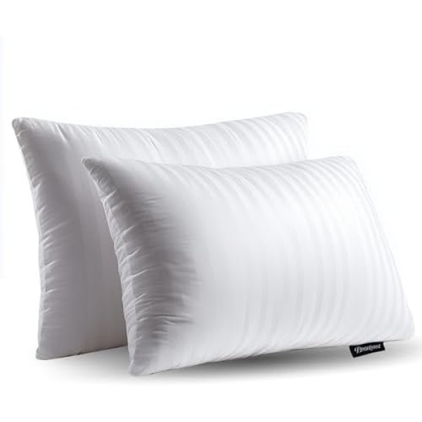 Beautyrest Luxury Goose Feathers Soft Pillows, 500 Thread Count Cover 20”x28”